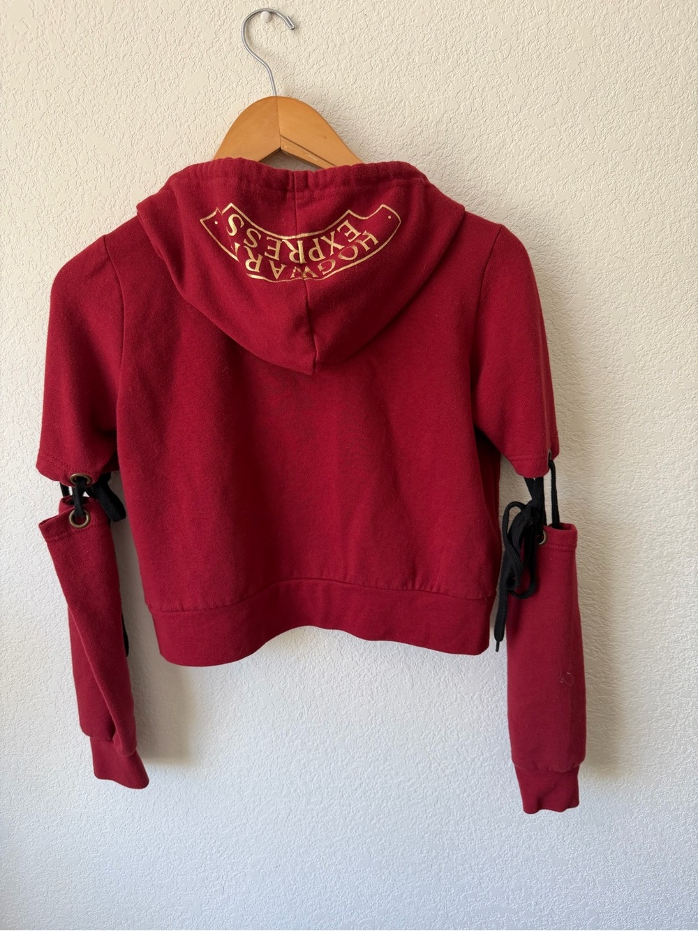 Harry Potter Hogwarts Express Tie Sleeve
Hoodie - Picture 9 of 12